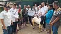 perhutani nganjuk perhutani nganjuk